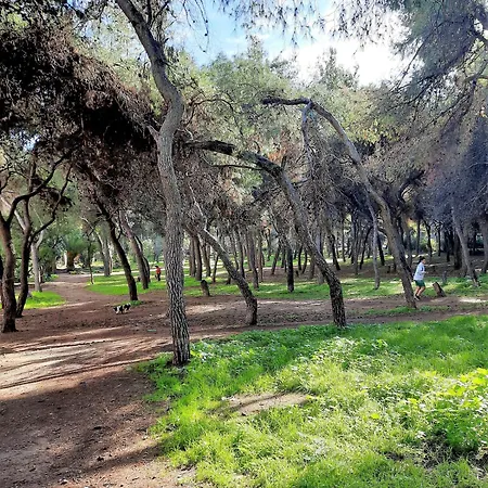 Cozy In Ilisia With Urban Forest View Athens